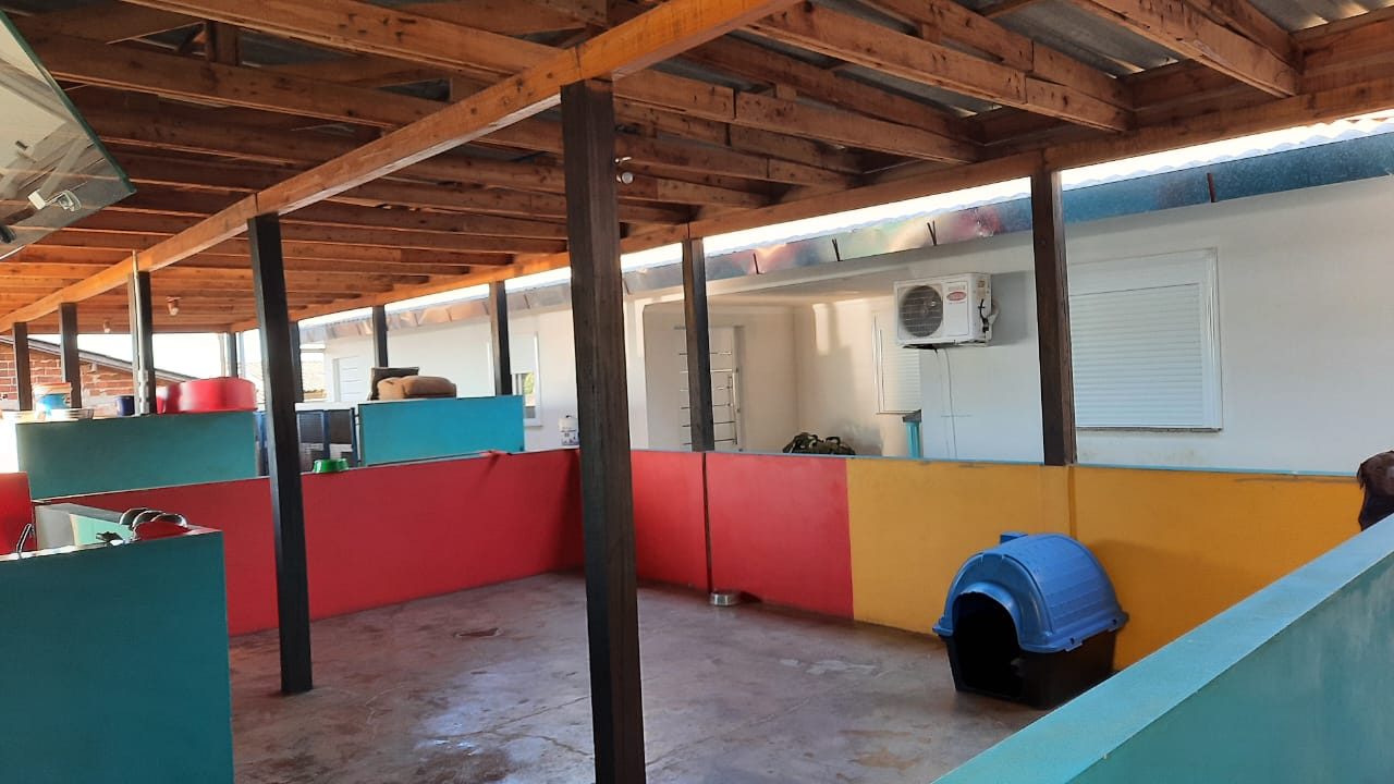 Área interna coberta da Doglanda com apartamentos individuais