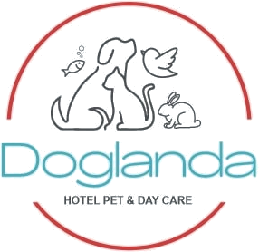 Doglanda — Hotel Pet & Day Care